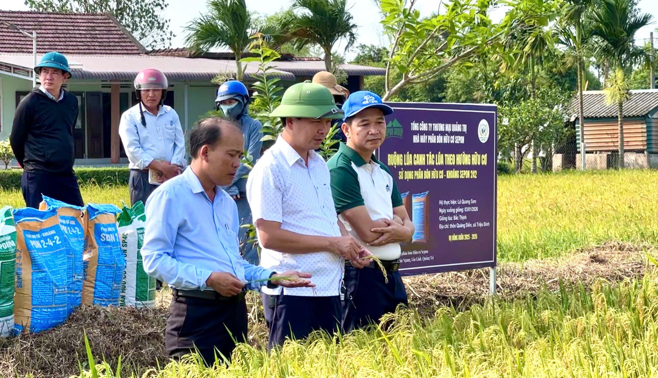 Xã Triệu Bình thăm đồng đánh giá năng suất lúa vụ Đông Xuân 2025 - 2026
